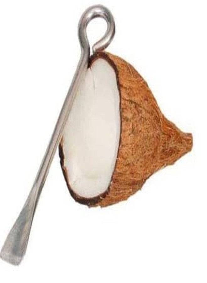 ImegaZ Stainless Steel Heavy Duty Coconut Breaker Plate for Easy to Break Coconut and Cococnut Opener Set of 2 - Image 3